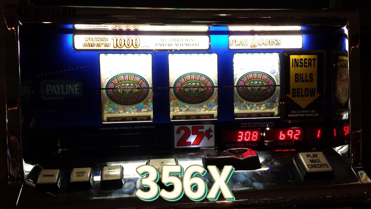 356X Seguro SSL